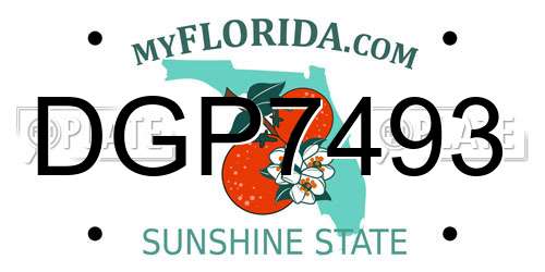 DGP7493 Florida License Plate