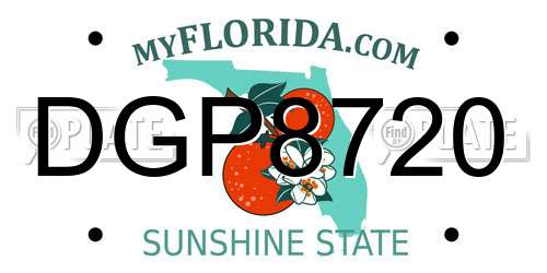 DGP8720 Florida License Plate
