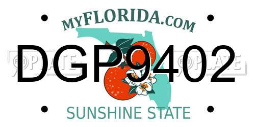 DGP9402 Florida License Plate