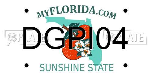 DGPI04 Florida License Plate