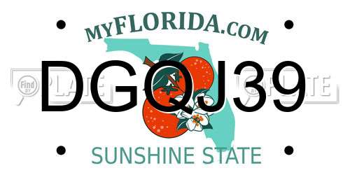 DGQJ39 Florida License Plate