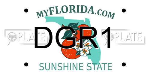 DGR1 Florida License Plate