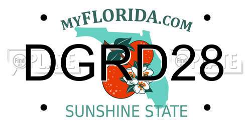 DGRD28 Florida License Plate