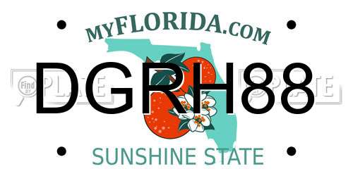 DGRH88 Florida License Plate
