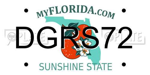 DGRS72 Florida License Plate