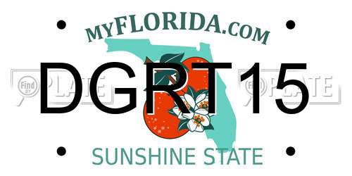 DGRT15 Florida License Plate
