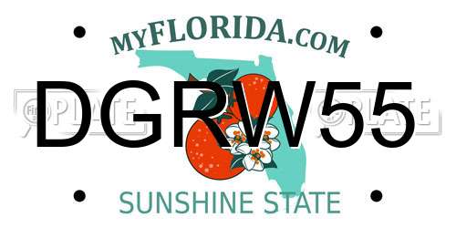 DGRW55 Florida License Plate
