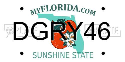 DGRY46 Florida License Plate