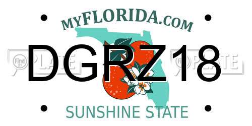 DGRZ18 Florida License Plate