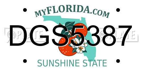 DGS5387 Florida License Plate