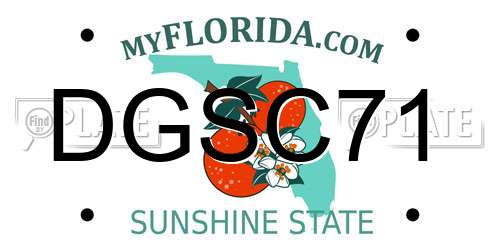 DGSC71 Florida License Plate