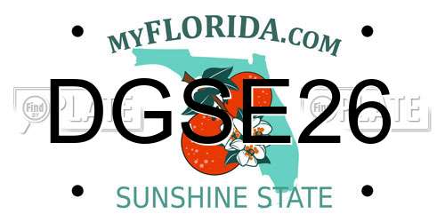 DGSE26 Florida License Plate