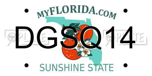 DGSQ14 Florida License Plate