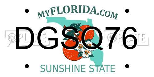 DGSQ76 Florida License Plate