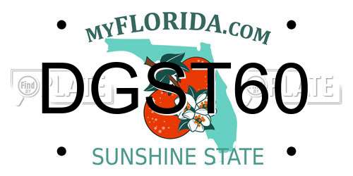 DGST60 Florida License Plate