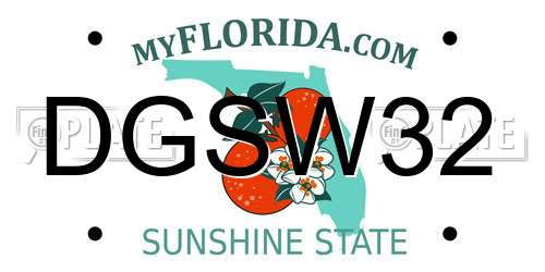 DGSW32 Florida License Plate