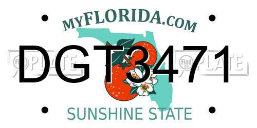 DGT3471 Florida License Plate