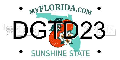 DGTD23 Florida License Plate