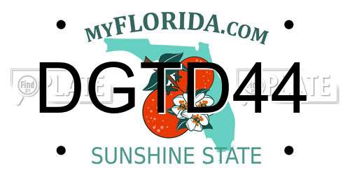 DGTD44 Florida License Plate
