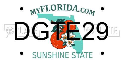 DGTE29 Florida License Plate