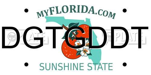 DGTGDDT Florida License Plate