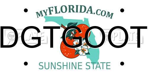 DGTGOOT Florida License Plate