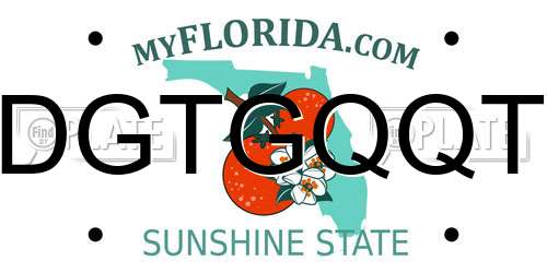 DGTGQQT Florida License Plate