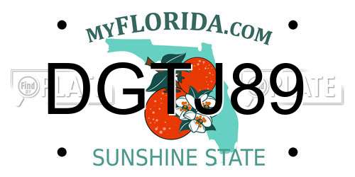 DGTJ89 Florida License Plate