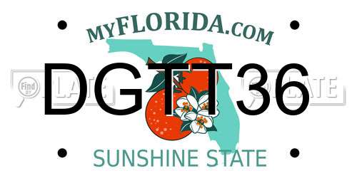 DGTT36 Florida License Plate