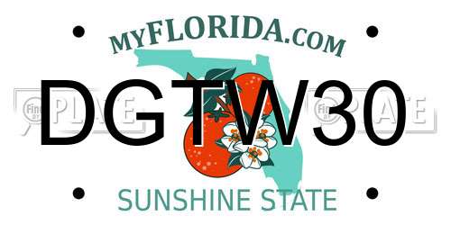 DGTW30 Florida License Plate