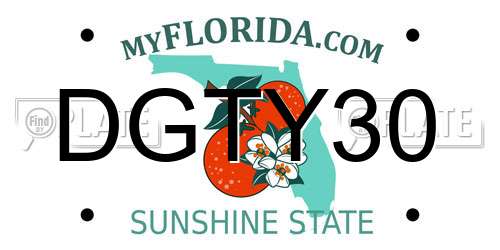 DGTY30 Florida License Plate