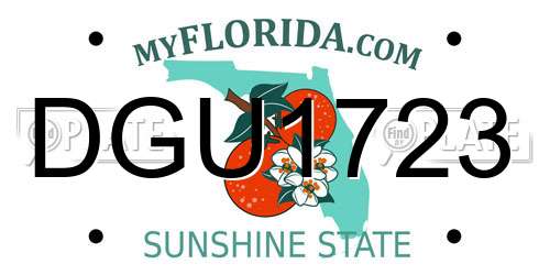 DGU1723 Florida License Plate