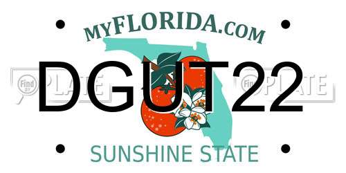 DGUT22 Florida License Plate