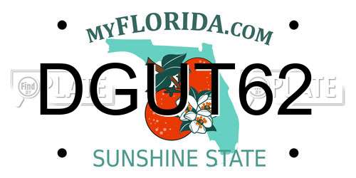 DGUT62 Florida License Plate