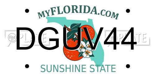 DGUV44 Florida License Plate