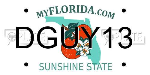 DGUY13 Florida License Plate
