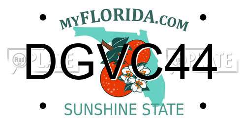 DGVC44 Florida License Plate