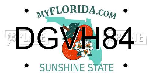 DGVH84 Florida License Plate