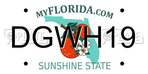 DGWH19 Florida License Plate