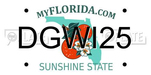 DGWI25 Florida License Plate