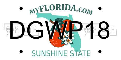 DGWP18 Florida License Plate