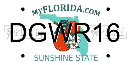 DGWR16 Florida License Plate