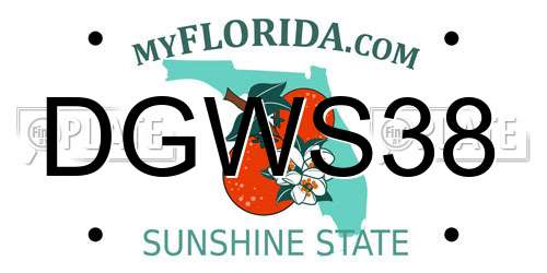 DGWS38 Florida License Plate