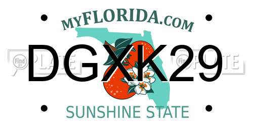 DGXK29 Florida License Plate