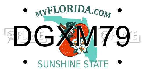 DGXM79 Florida License Plate
