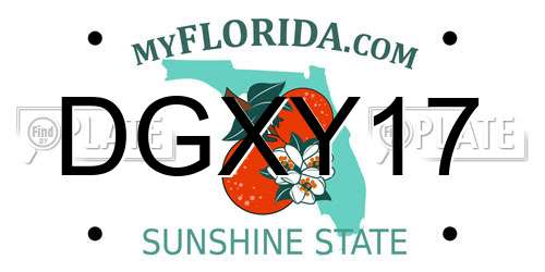 DGXY17 Florida License Plate