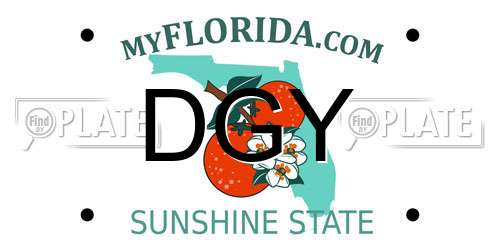 DGY Florida License Plate