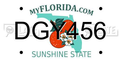 DGY456 Florida License Plate