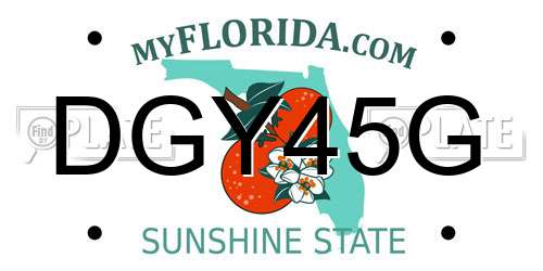 DGY45G Florida License Plate