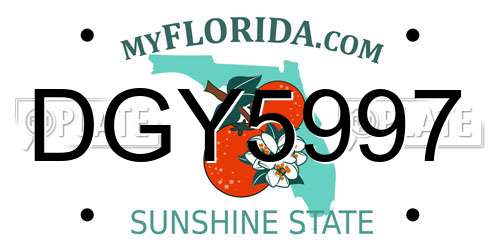 DGY5997 Florida License Plate